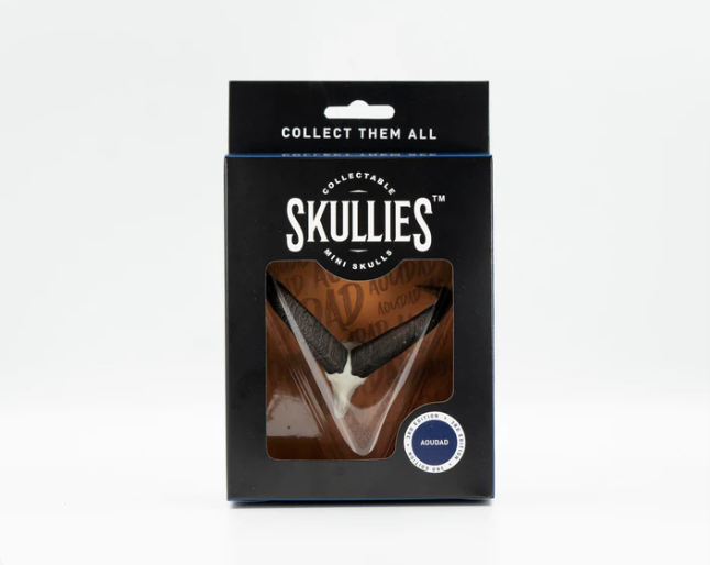 Screenshot 2025-08-13 144546