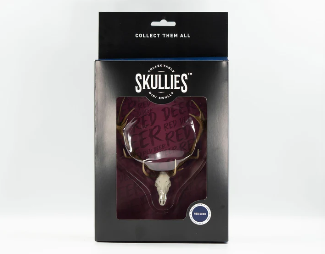 Screenshot 2025-08-13 155423