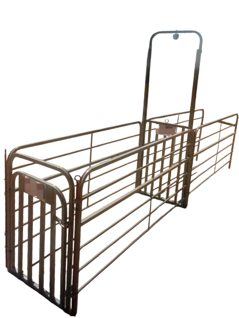 WhatsApp Image 2025-09-09 at 19.37.05_65eba3be