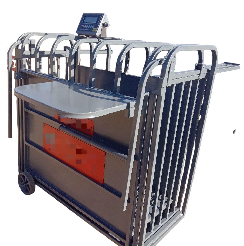 WhatsApp Image 2025-09-09 at 19.50.23_0a0ea9a7