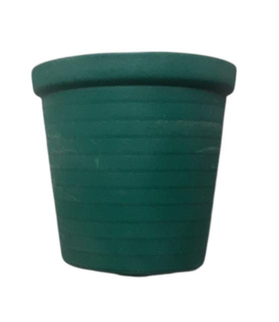 WhatsApp Image 2025-10-28 at 06.31.02_bd9a54d2