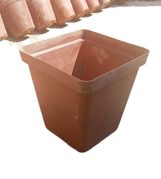 Pots 9x9cm x 30(second hand)