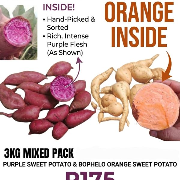 Mix Combo Of Purple And Bophelo Orange Sweet Potato Vegetable