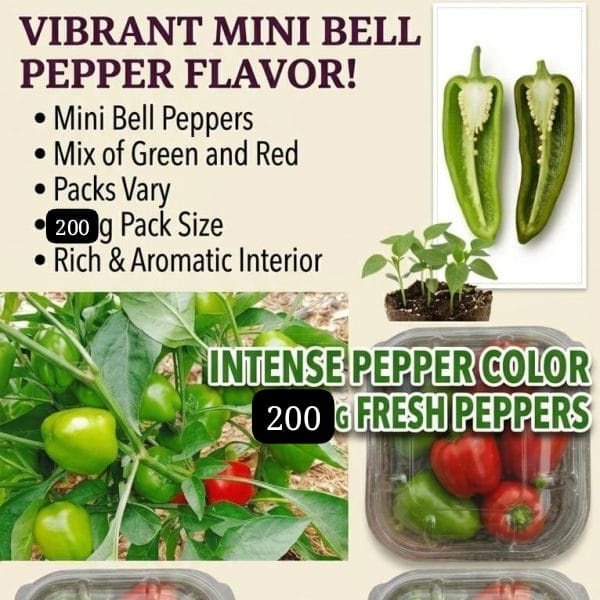 Mini Bell Peppers Vegetable Harvest 200grm